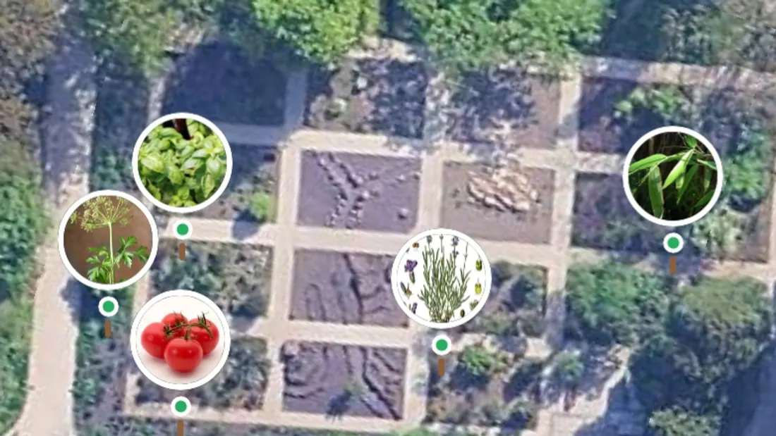 Nahaufnahme der Gartenkarte: Tomate, Basilikum, Dill, Lavendel und Mais stehen als Marker mit echten Pflanzenfotos auf den Beeten des Satellitenbilds.