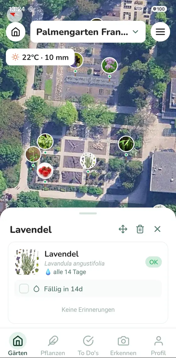 Detailkarte für Lavendel auf der Gartenkarte, mit Gießrhythmus alle 14 Tage.
